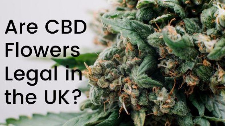 Is Buying CBD Flower Legal in the UK? | CBD Scanner