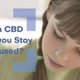 Does CBD help you focus?