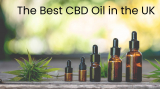 The Best CBD Oil in the UK 2022
